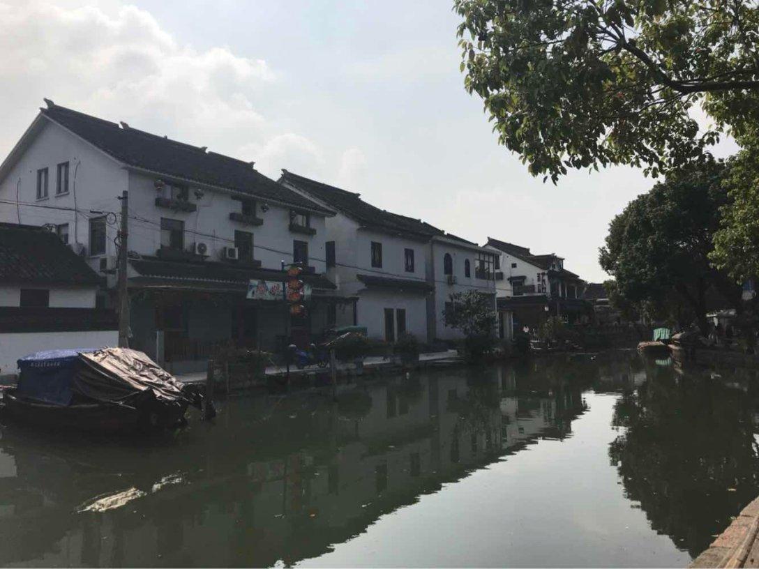 探索能看龙珠超动漫的软件——知识星球平台